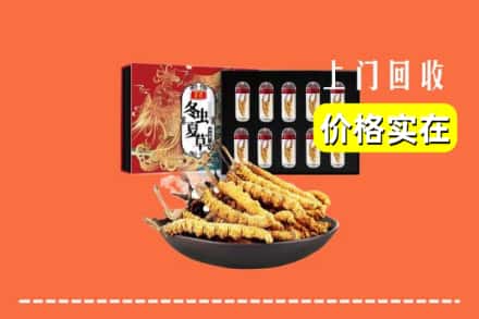 金寨县回收冬虫夏草